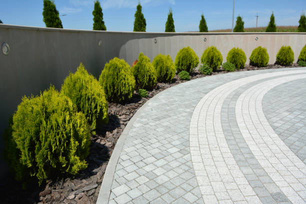 Best Paver Driveway Replacement  in Hahira, GA